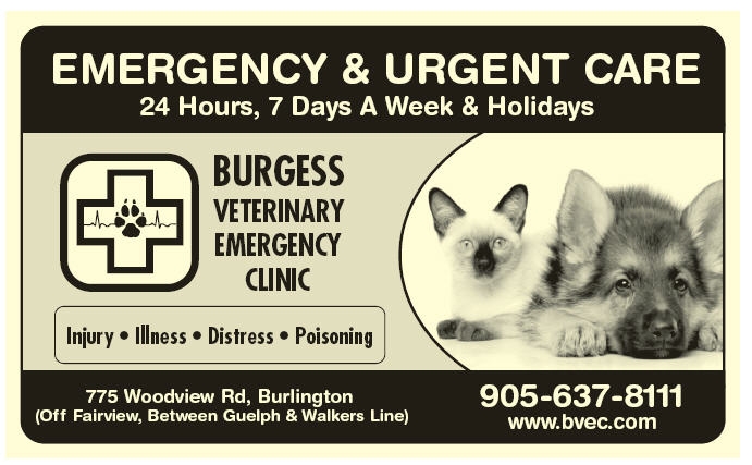 Burgess Veterinary Emergency Clinic